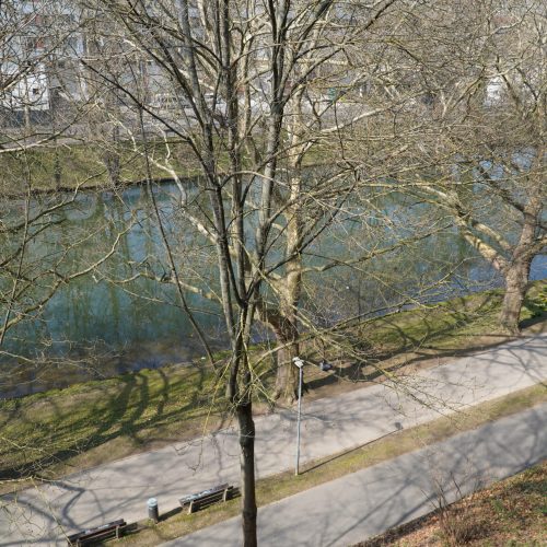 Schoettlestrasse